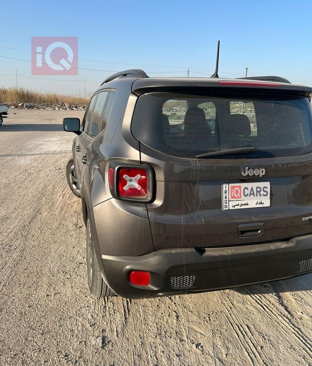 جيب رينيجيد